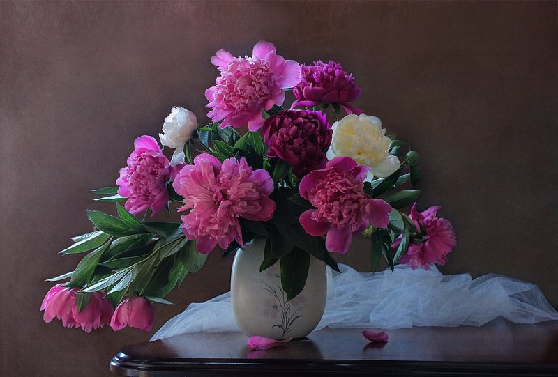 Цветы пионы, драпировка Пионов нежный аромат. фото превью