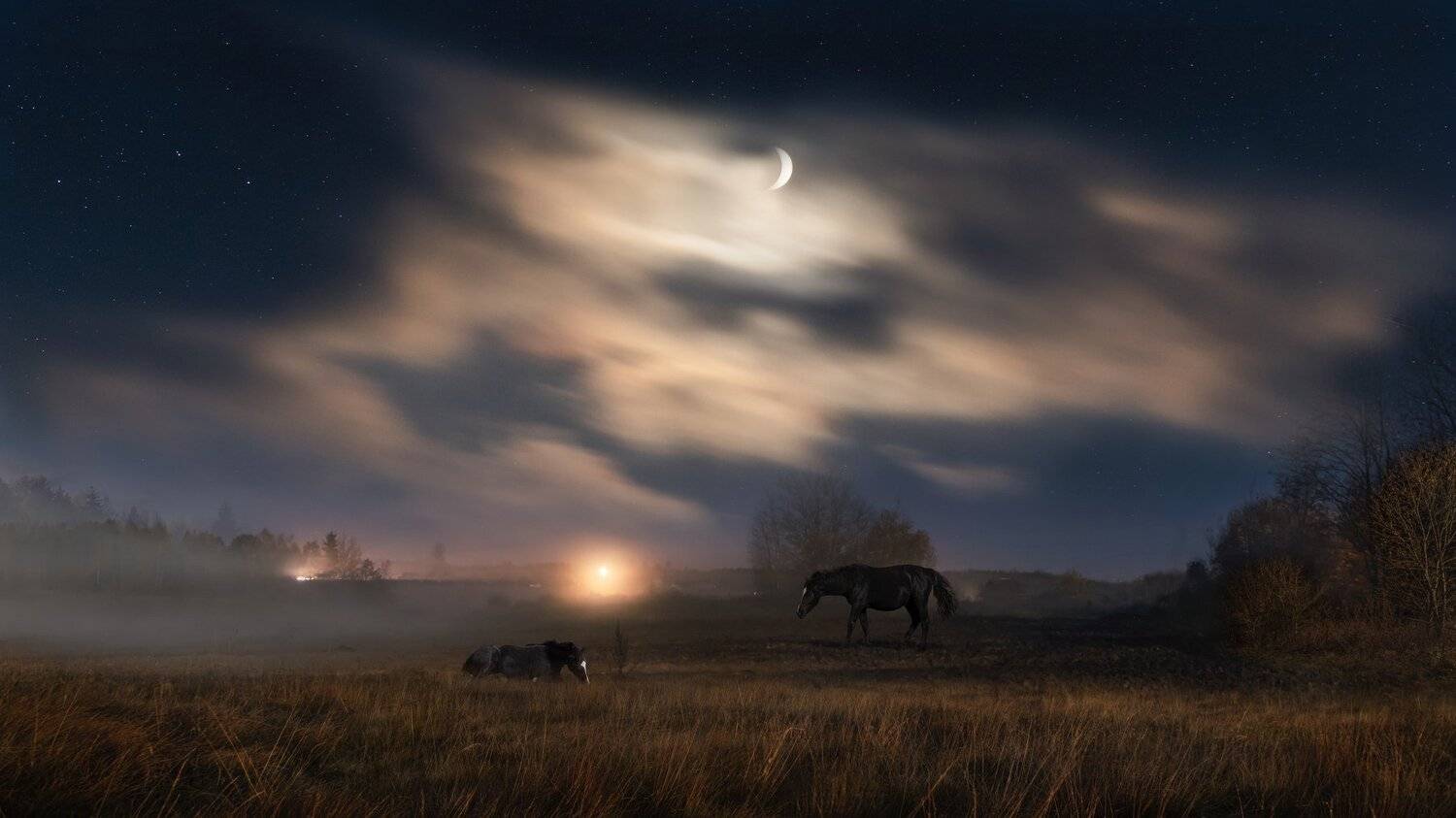 , Николай Мозгунов