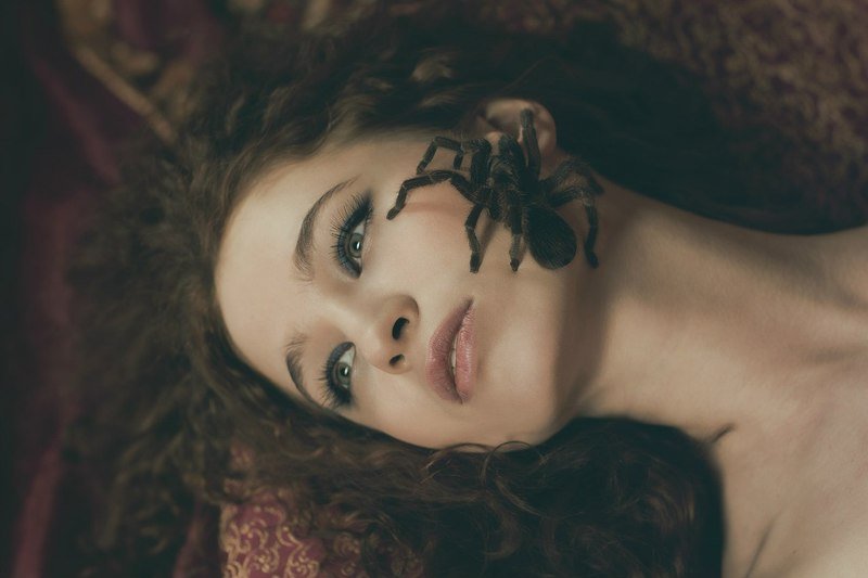 фото превью