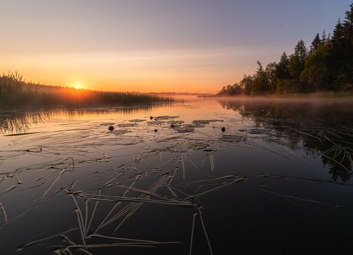 Новый день,подарит новый рассвет