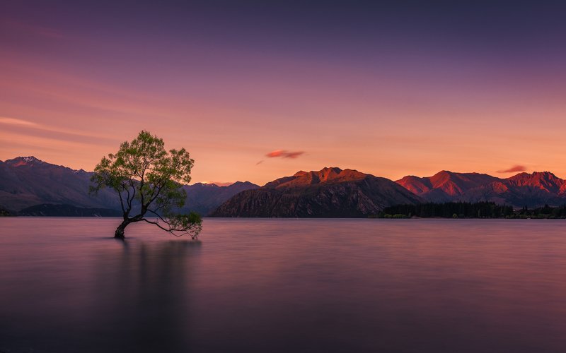 Portfolio 2017-2019 фото превью