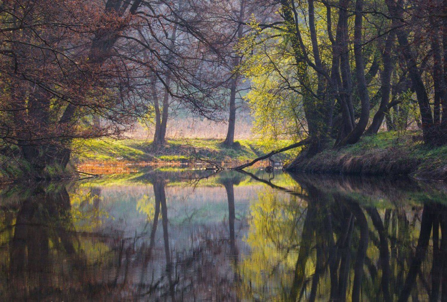 , Баранов Олег