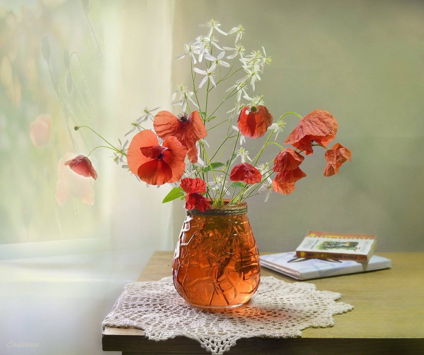 натюрморт,букет,свет,композиция,мак,лето, Инаида