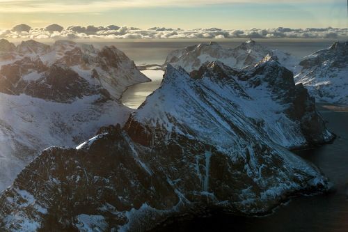 Under the morning sun