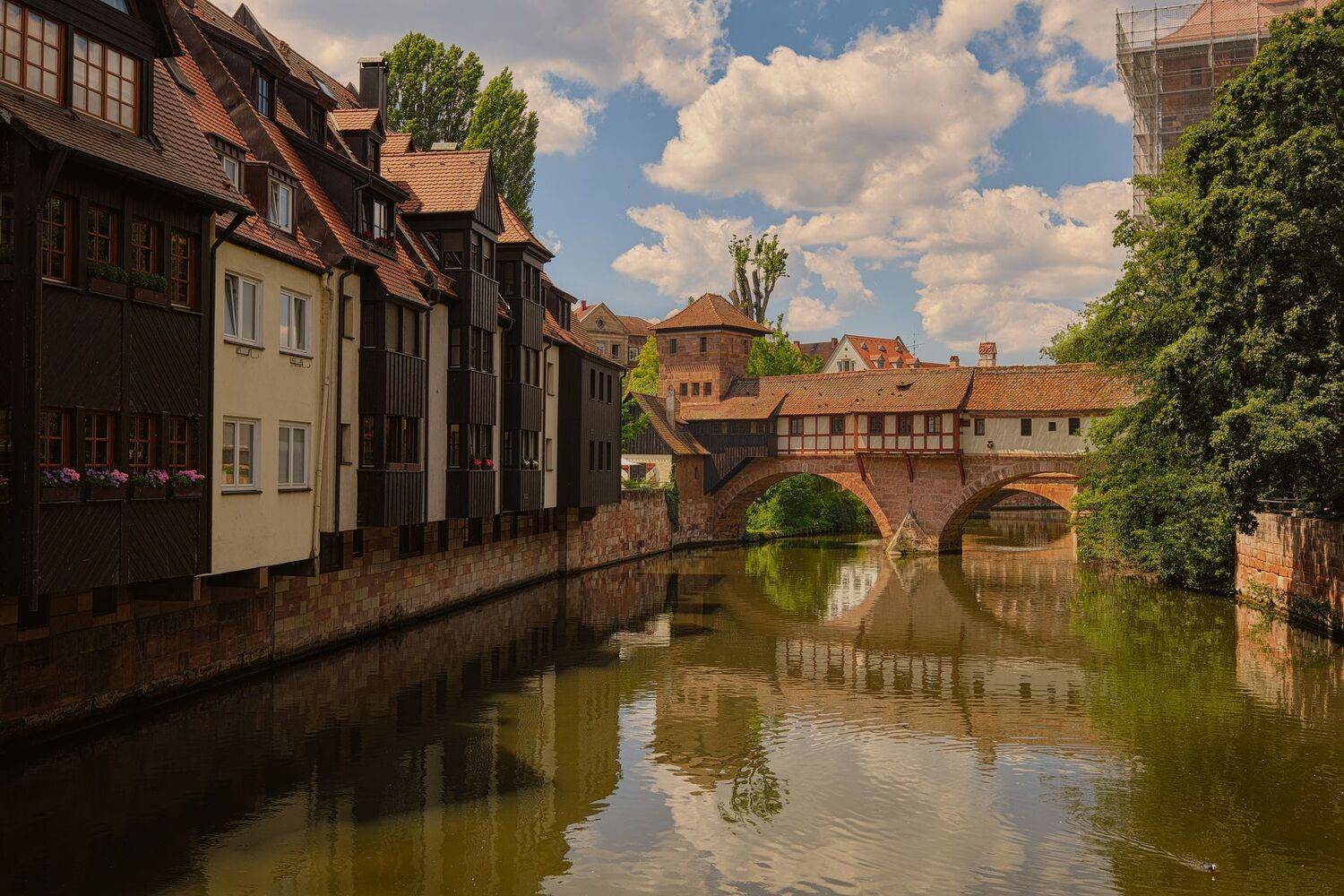 , Григорий Бельцев