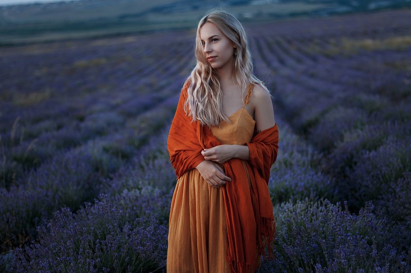 lavender фото превью