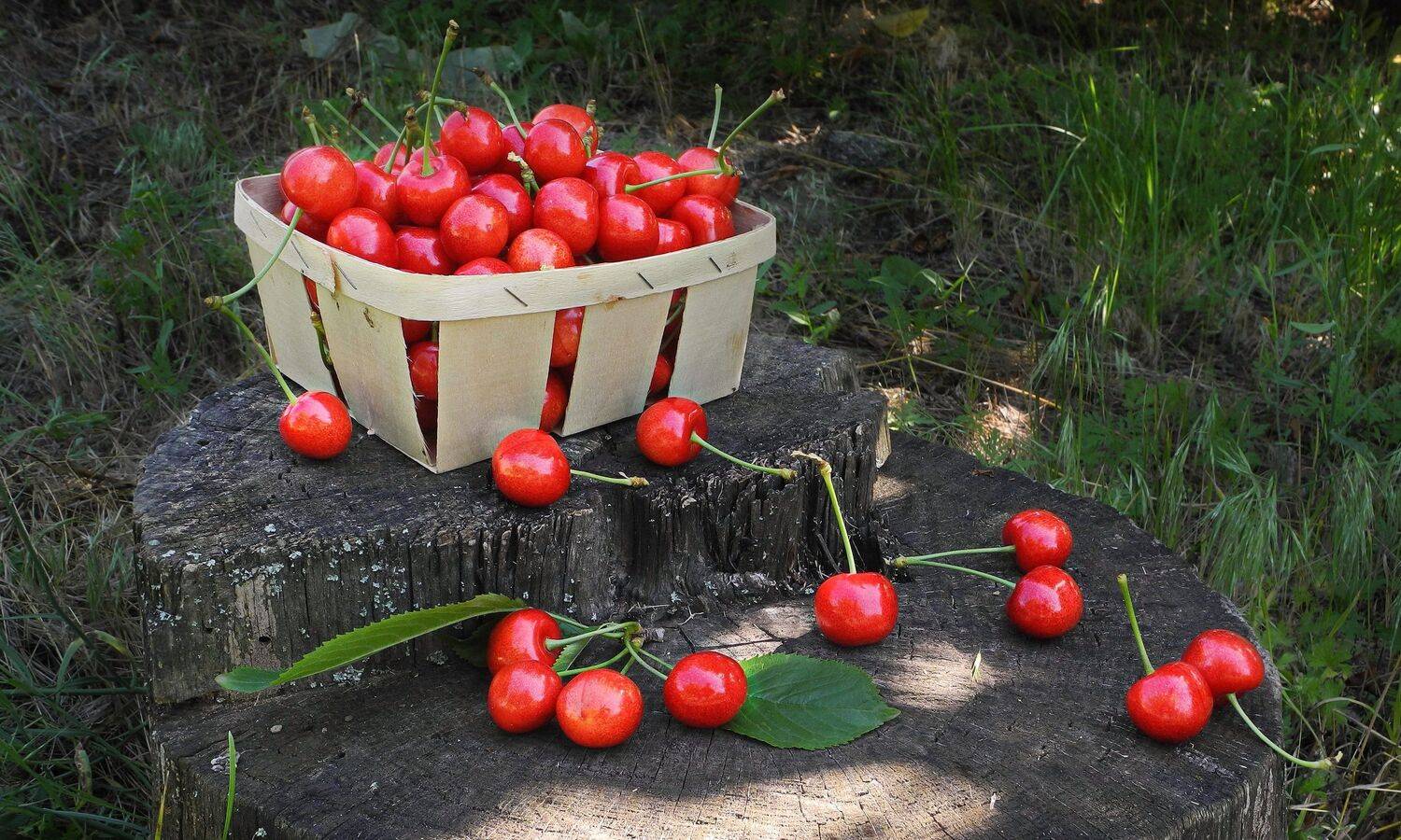 , Сергей Фунтовой