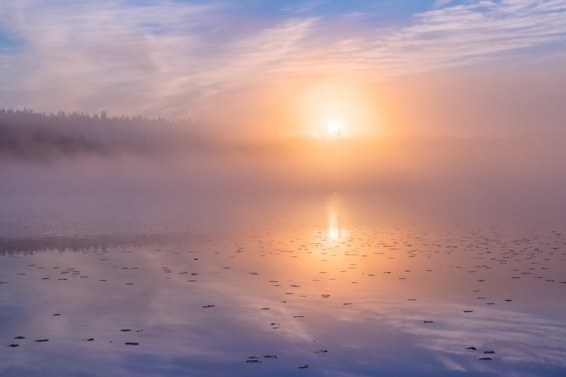 Солнечно-туманная ночь... фото превью
