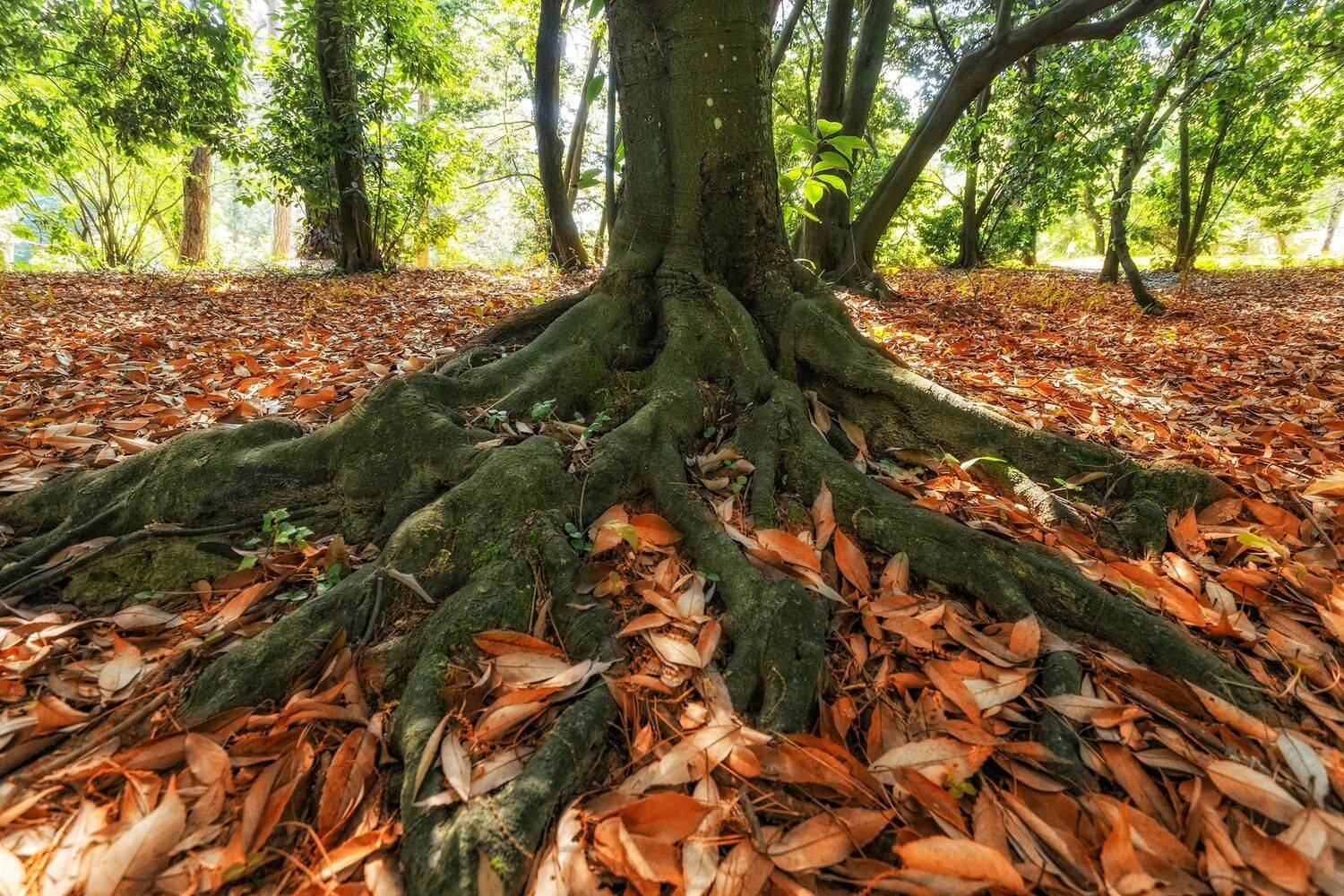 , Павел Сагайдак