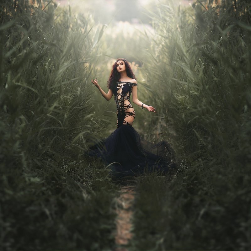 фото превью