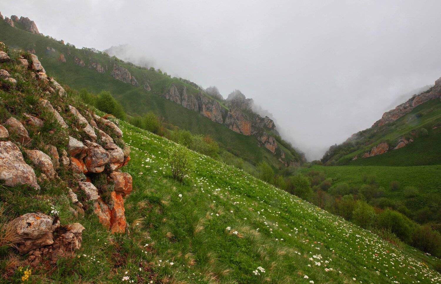 горы,чечня,туман,природа,пейзаж, Marat Magov
