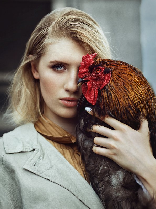 женский портрет, взгляд, петух, девушка, фэшн, гламур, портрет, птицы Полина фото превью