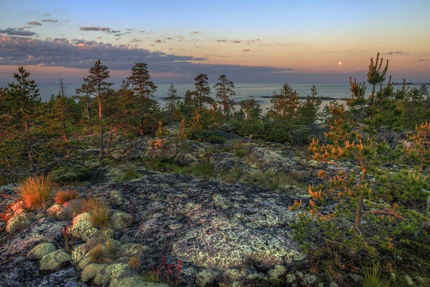 карелия, Виктор