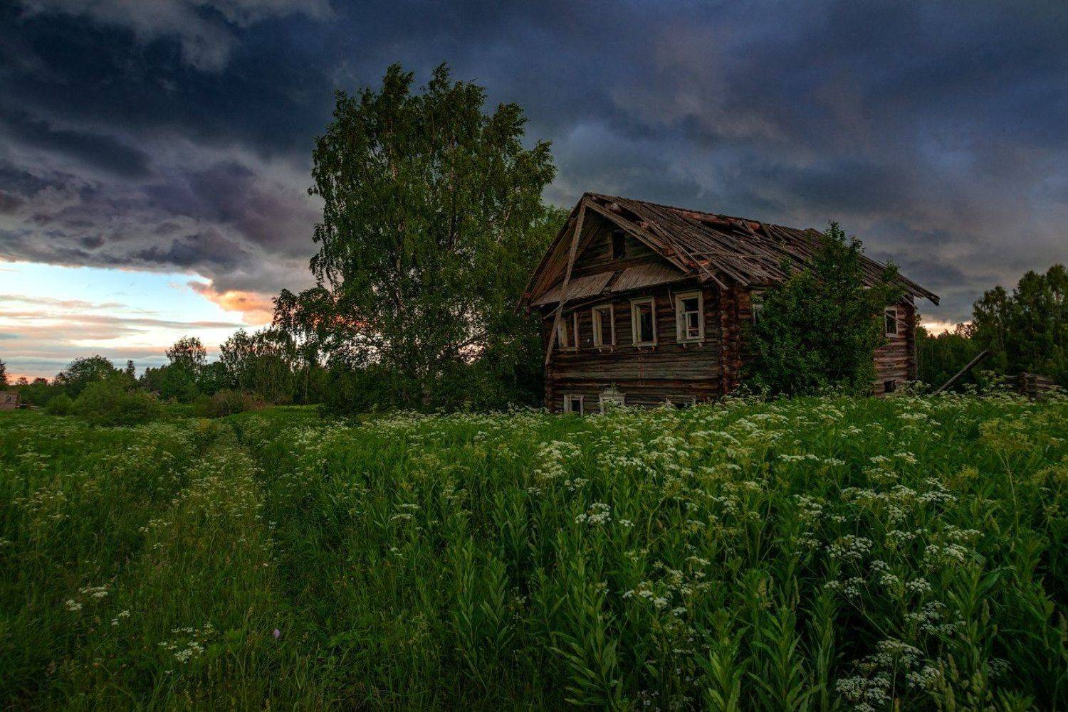 великий двор,вологодчина,кема,север,лето,, Роман Горячий