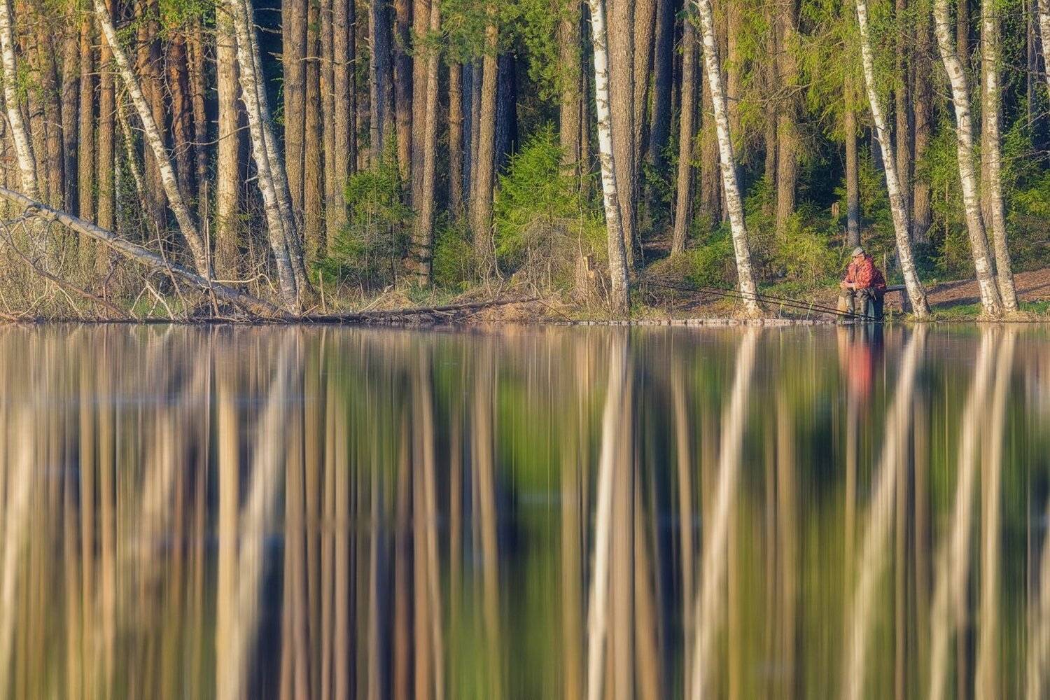 , Устюжанин Михаил