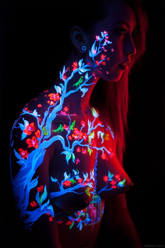 Малиновый свет фото превью