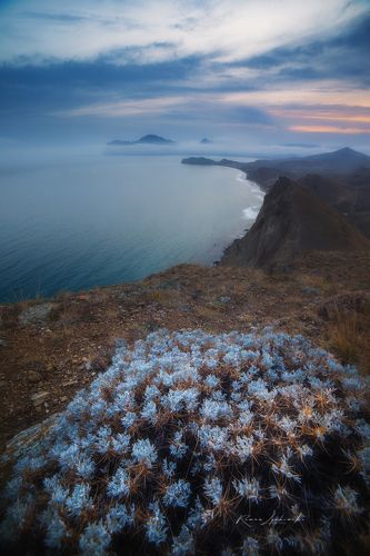 Хуже погода, лучше природа