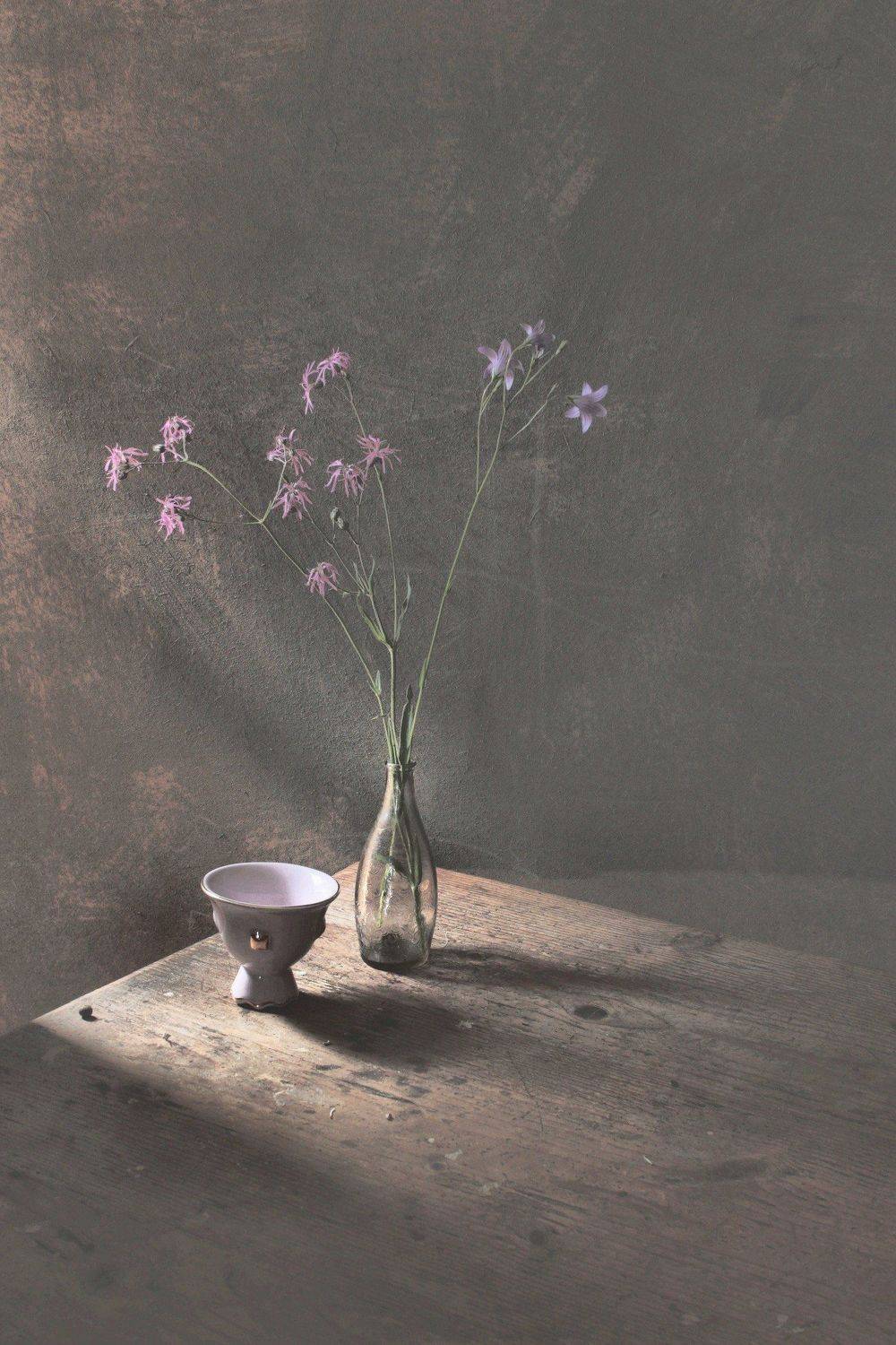 летние зарисовки, Коршак Елена