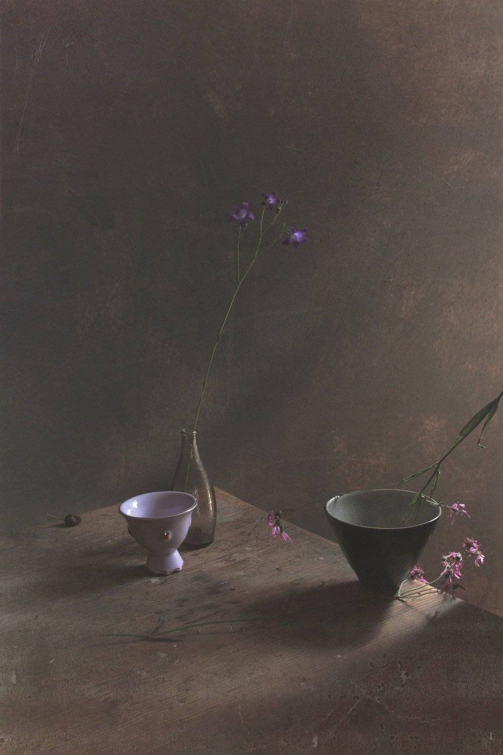 летние зарисовки, Коршак Елена