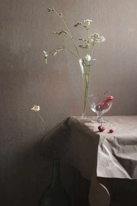 летние зарисовки Кислая ягода белые цветы фото превью