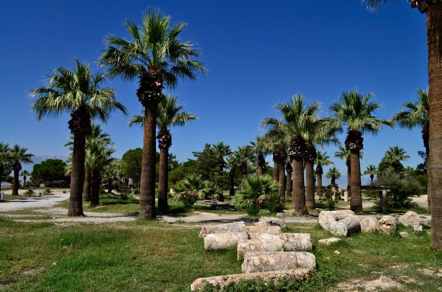 турция, памуккале,город,руины,иераполис,природа, Татьяна