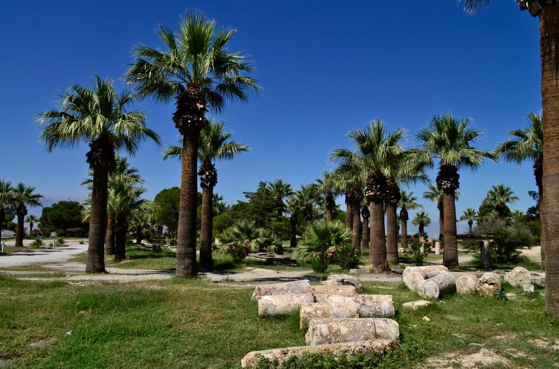 турция, памуккале,город,руины,иераполис,природа Красота на турецких склонах фото превью