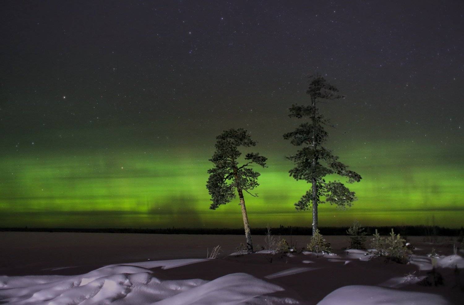 , Татьяна Борисова