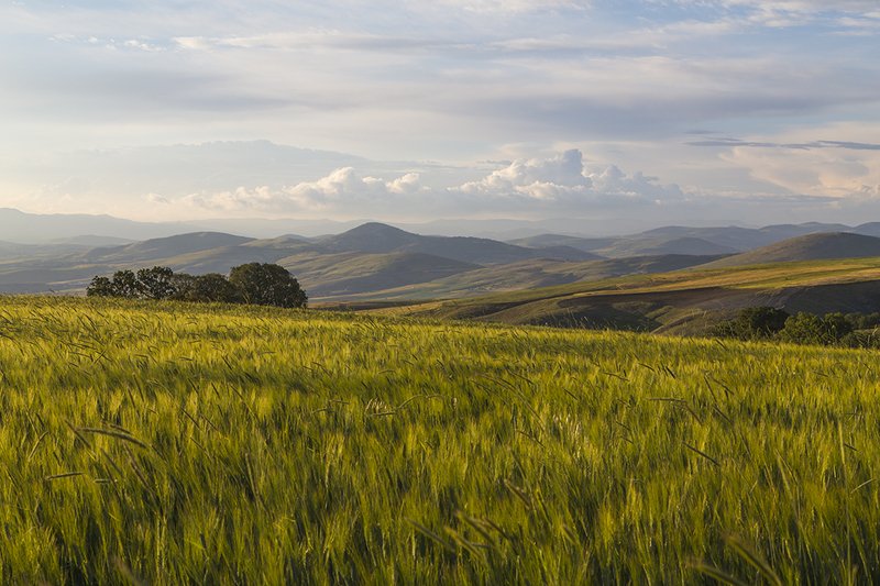 Çubuk фото превью