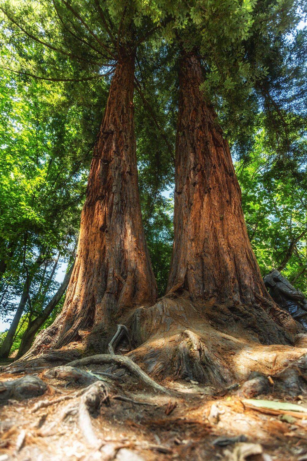 , Павел Сагайдак