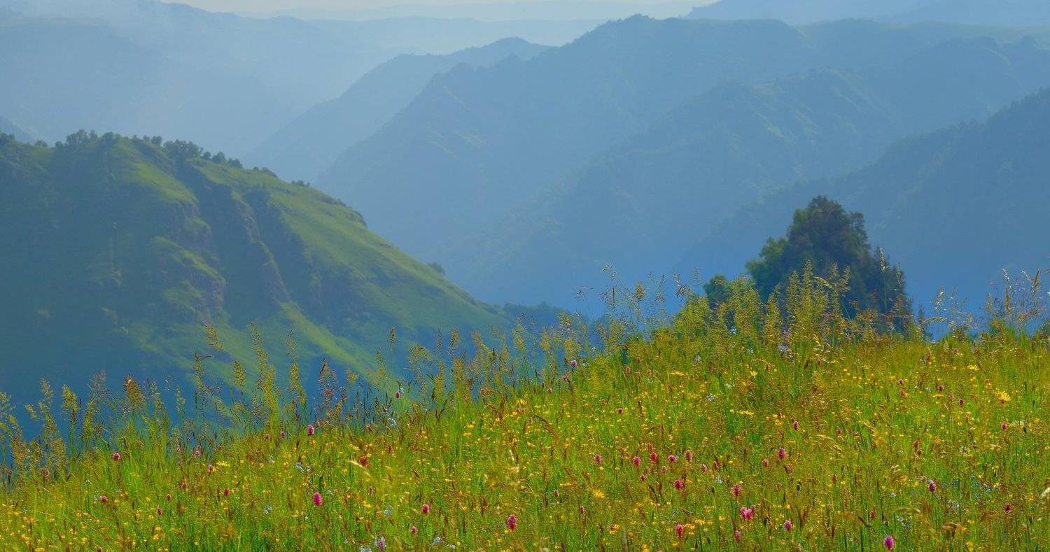 горы весна кавказ кбр, Александр Жарников
