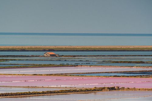 Lignes et couleurs des Salins Saint Martin à Gruissan