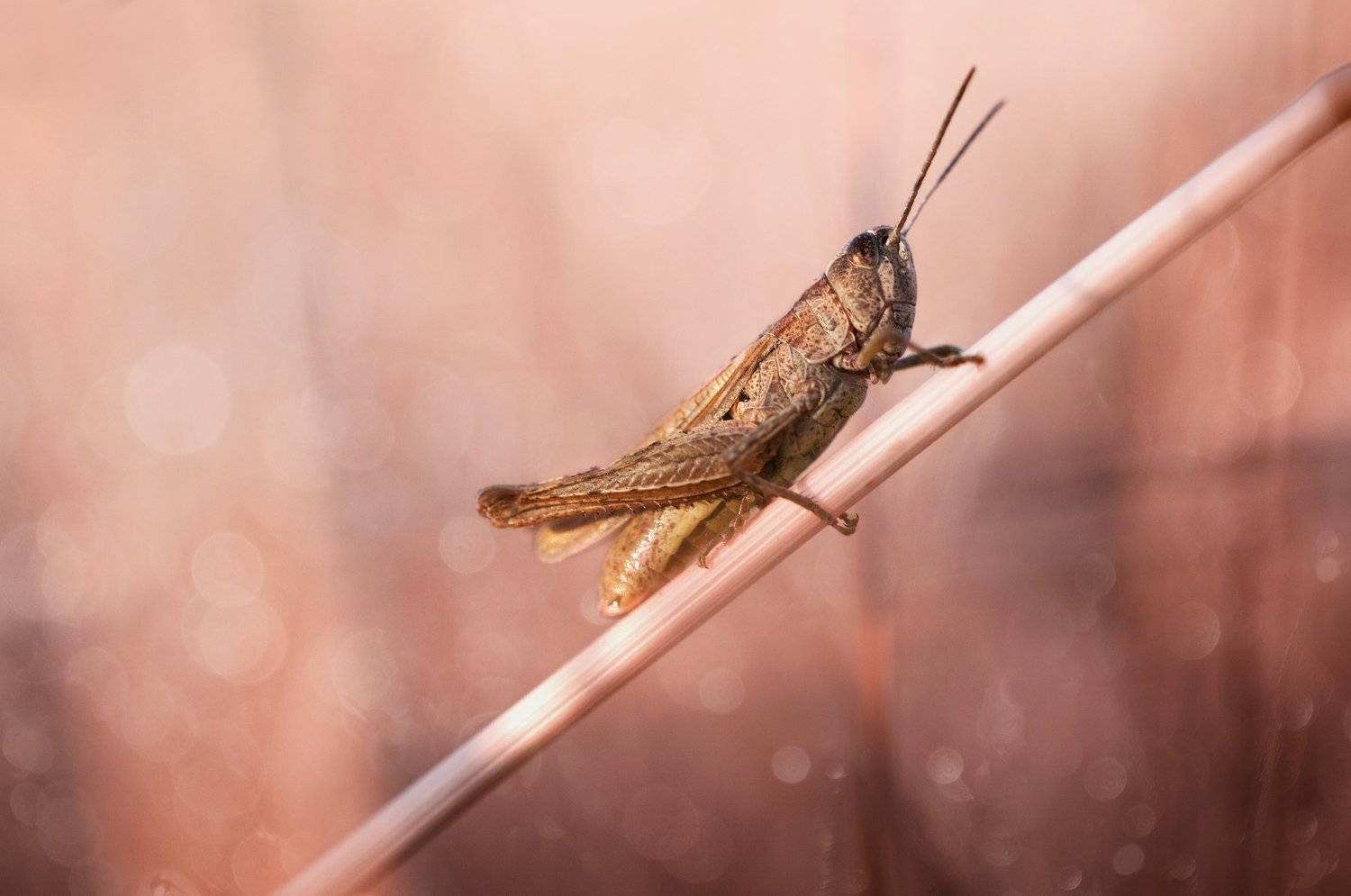 , Людмила Гудина