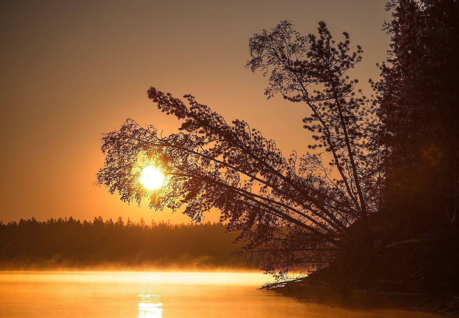 , Тушин Алексей