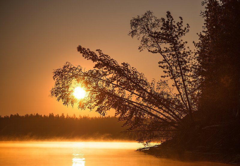 Прожигая утро фото превью