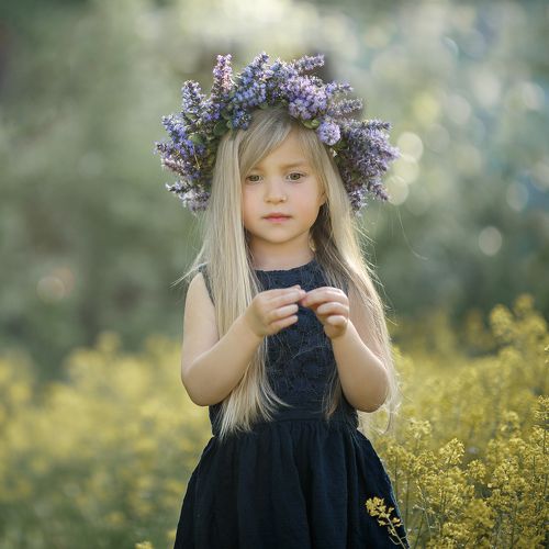 Алиса в поле чудес