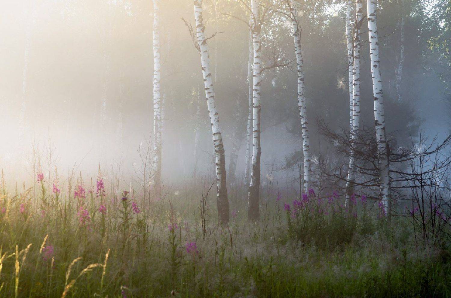 , Руслан Авдевич