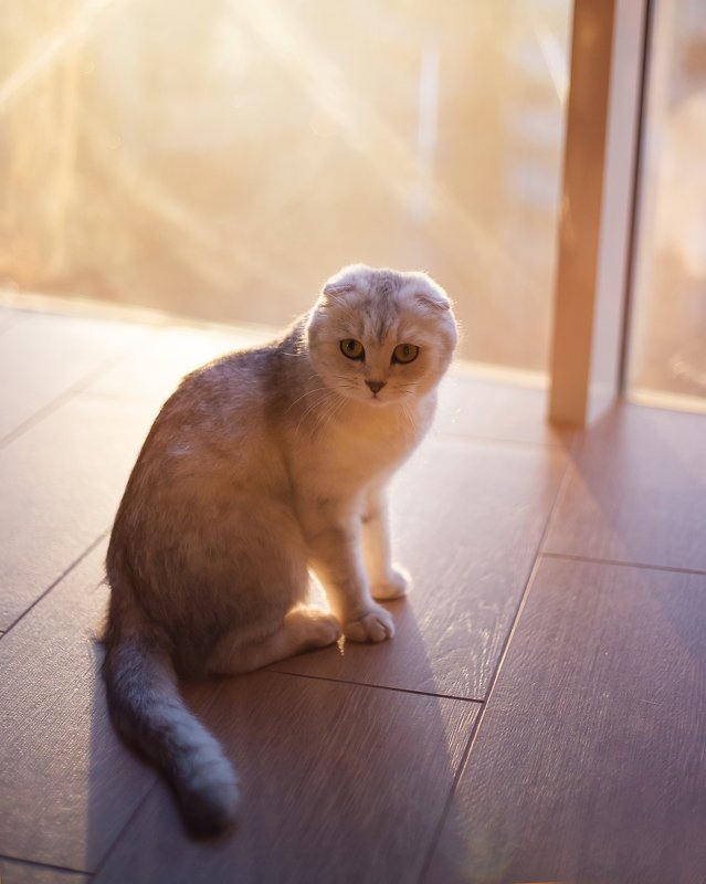 &&& фото превью