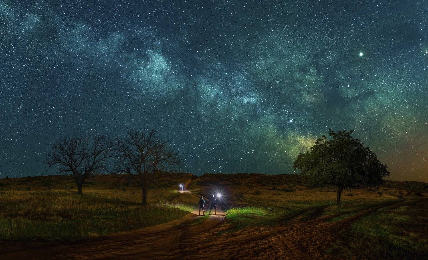 ceclii, nikon d3400, Tsvetan Ganev