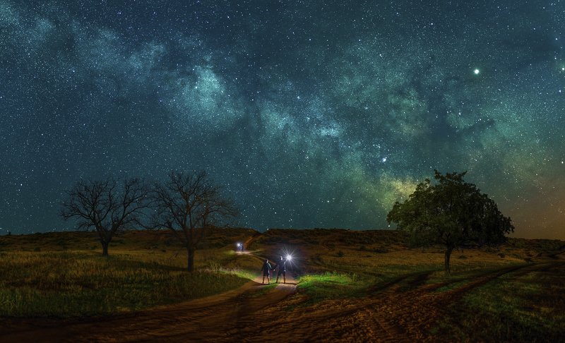 ceclii, nikon d3400  фото превью