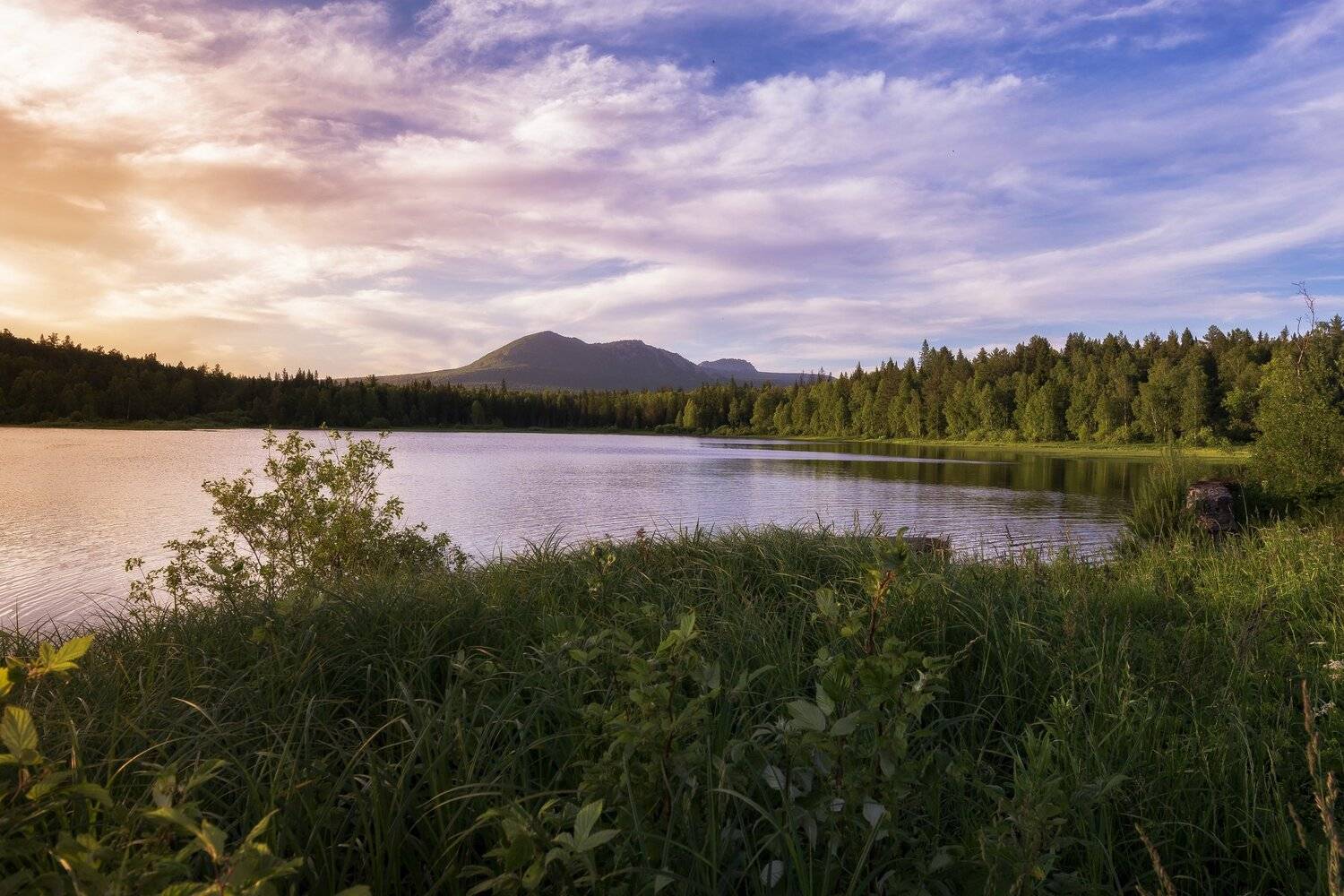 , Андрей Шарапов