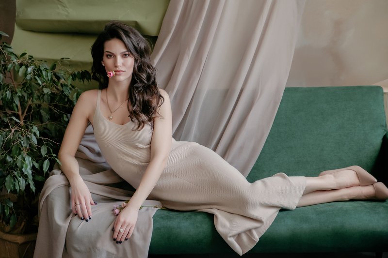 Роза фото превью