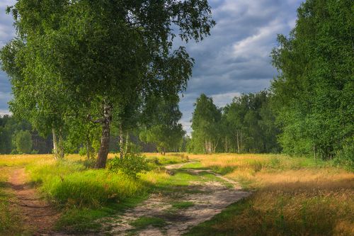 Нет суеты, лишь тишина в своей доступной простоте