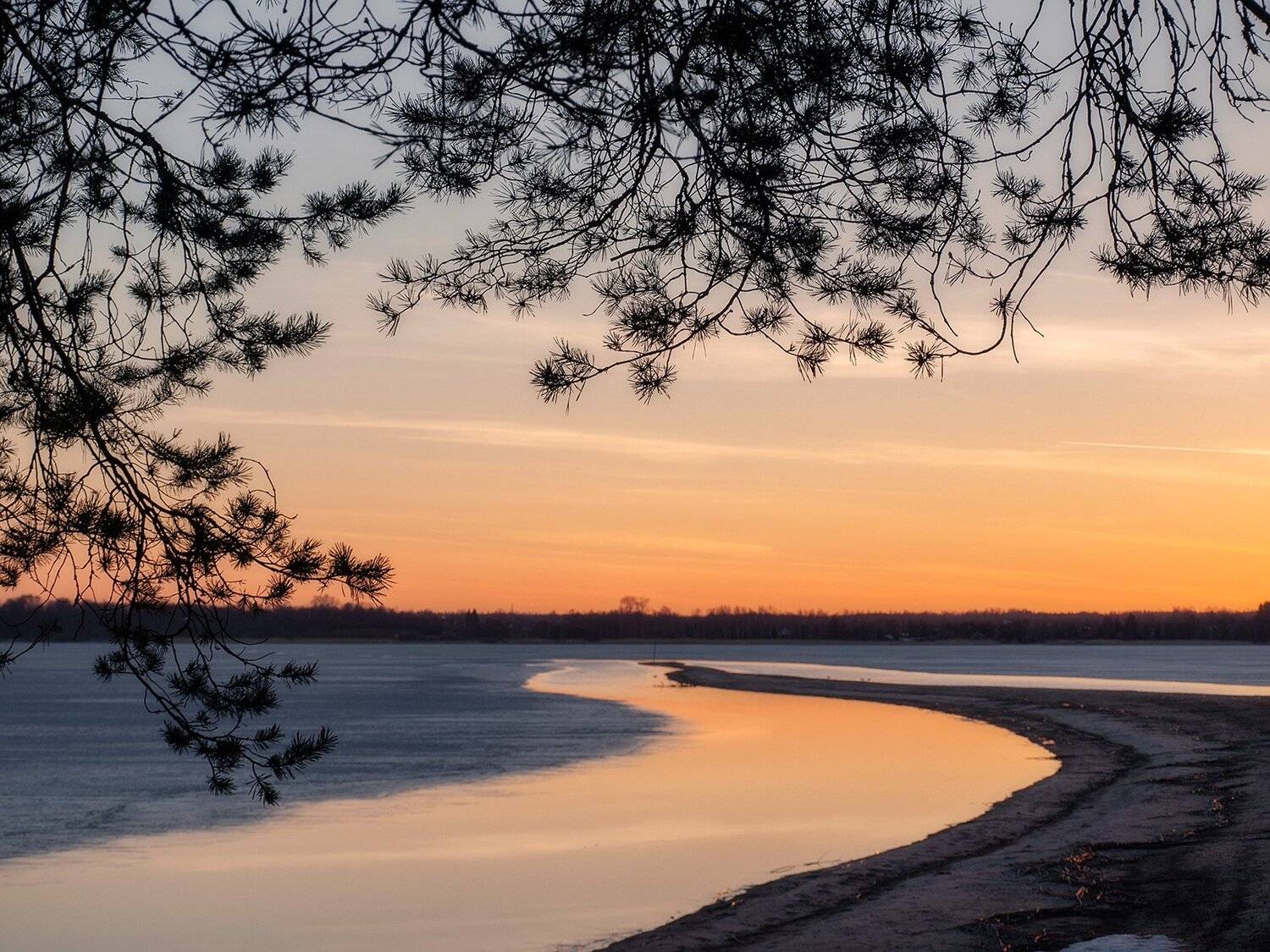 , Федотов Антон