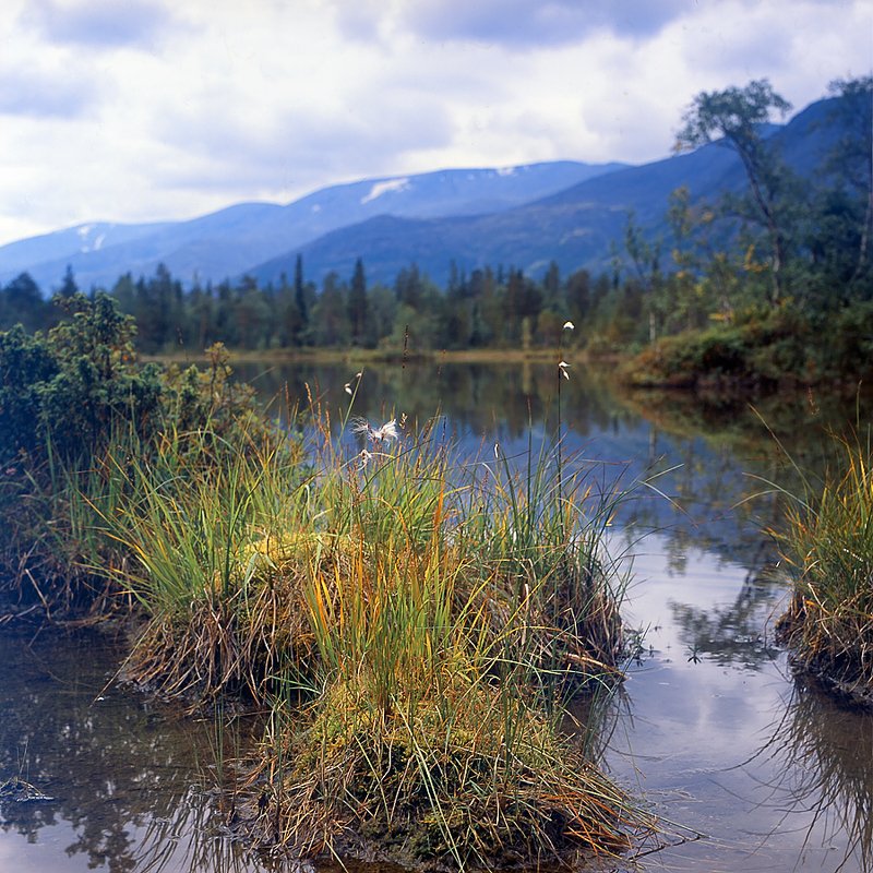 хибинские, тундры, , fujichrome, provia, 100f, arax-60-mlu * фото превью