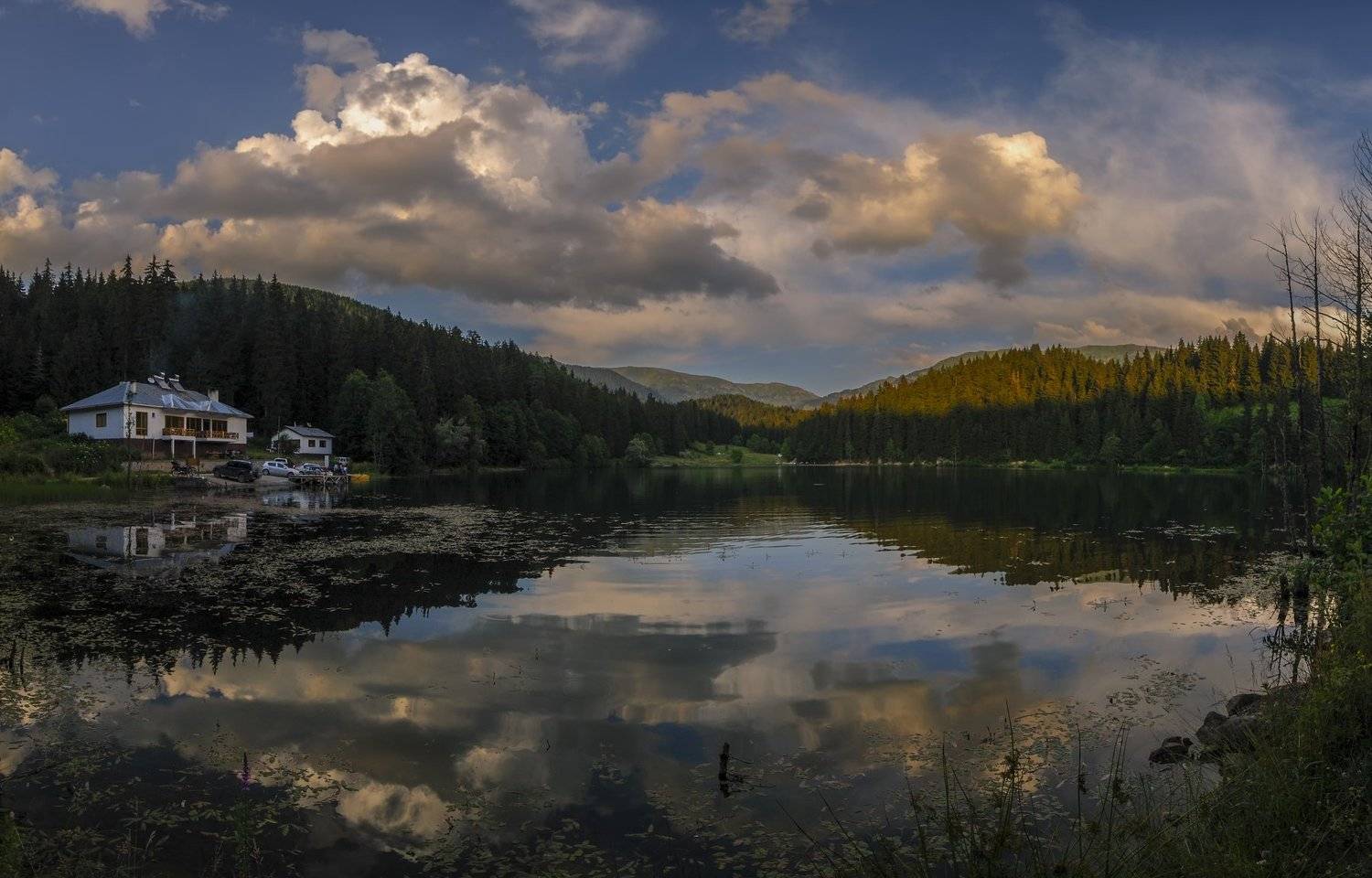 , mehmet enver karanfil