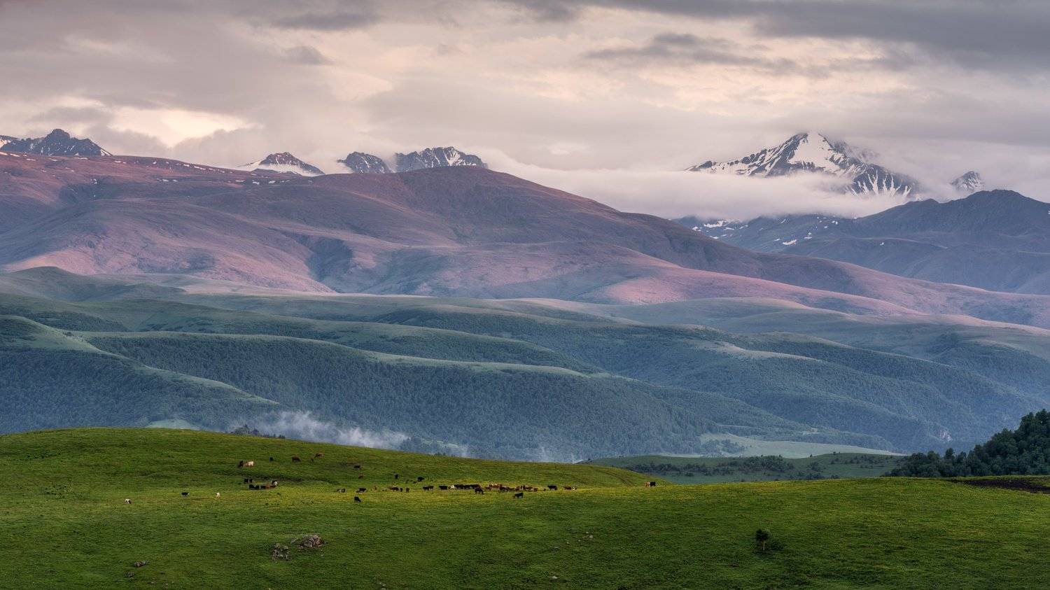 , Сергей Алтушкин