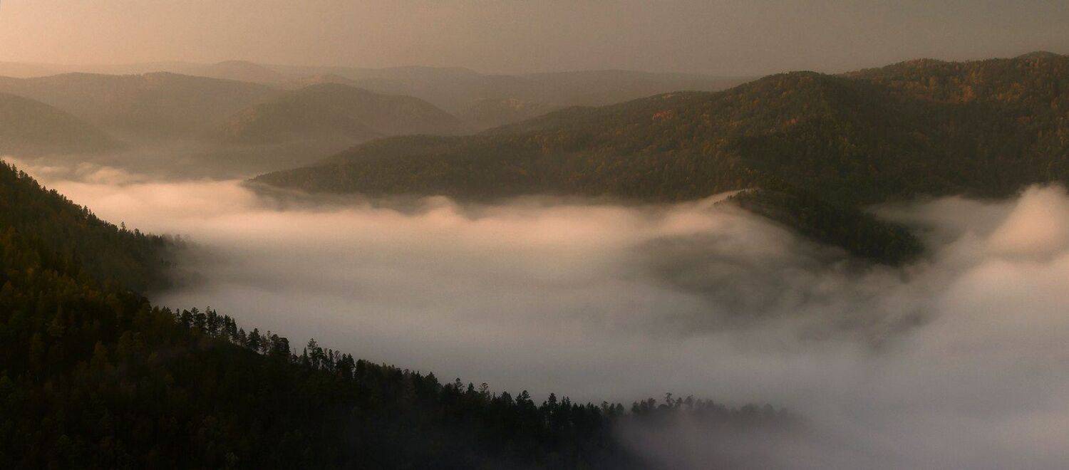 торгашинский хребет. золотая осень, раннее утро. туман.река  базаиха., Марина Фомина