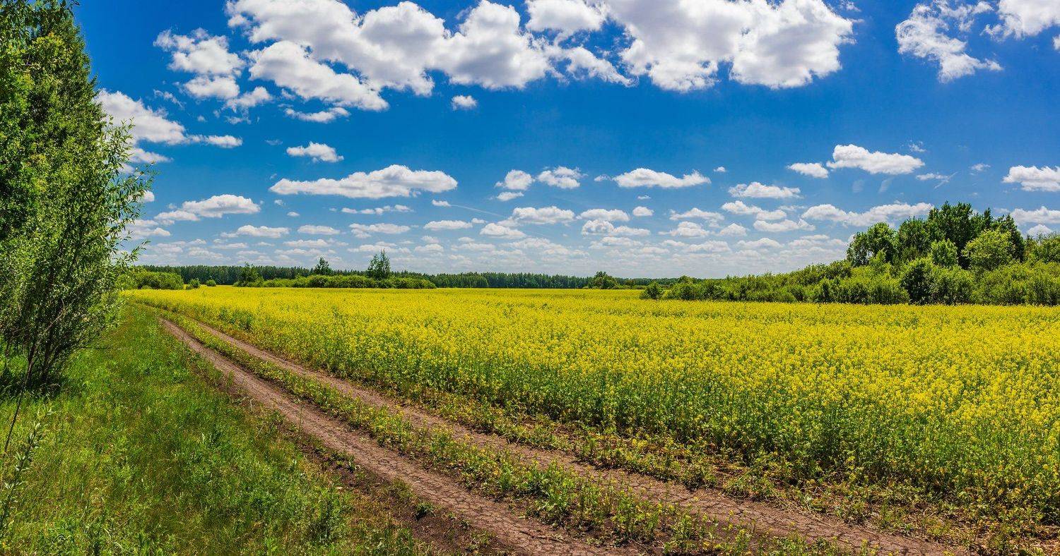 лето, дали, облака, дорога, дороги, поле, Руслан Востриков