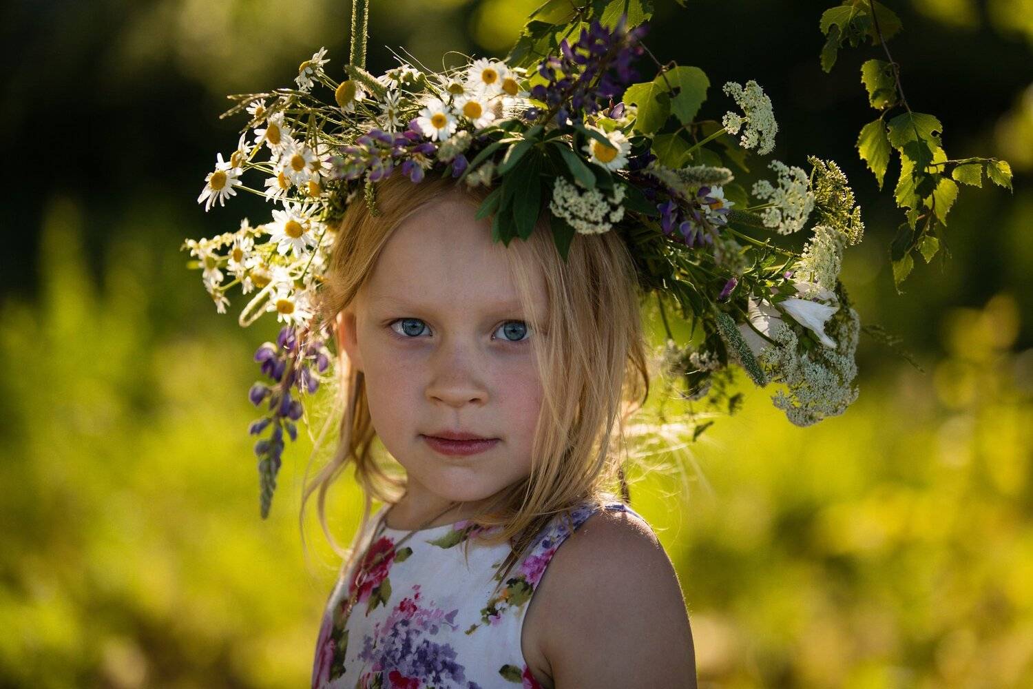 , Александр Шилов