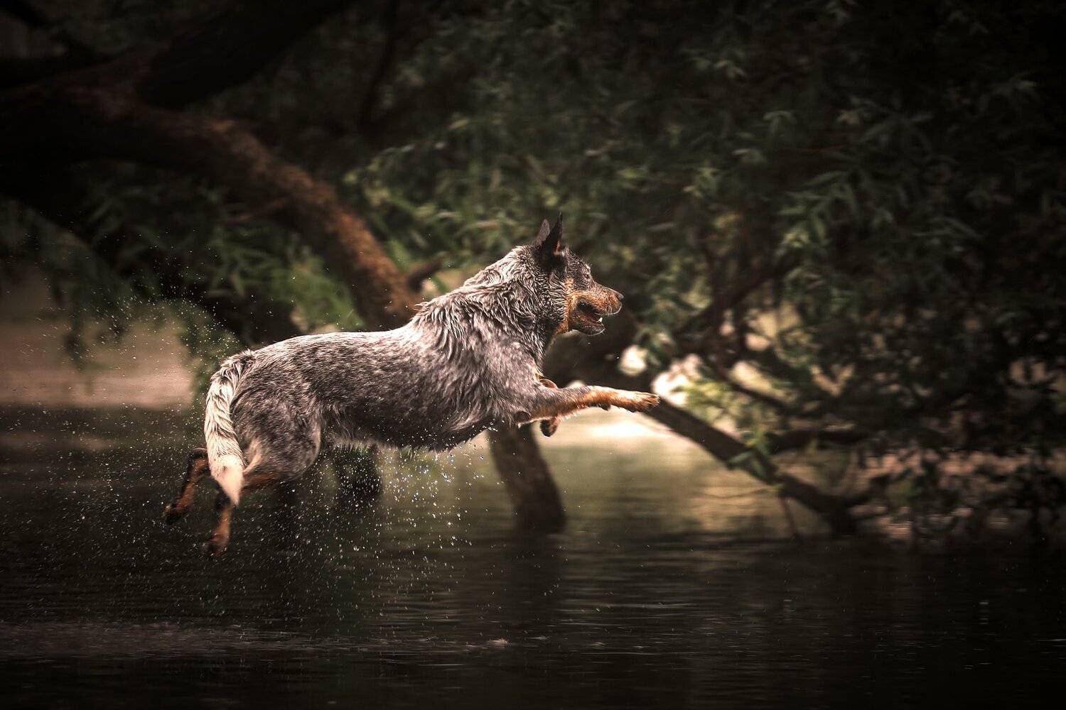 , Андрей Ершов